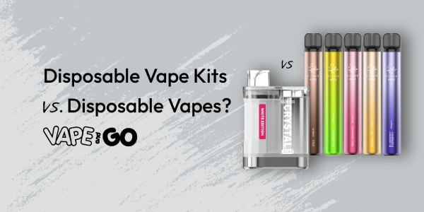 Disposable Vape Kits vs. Disposable Vapes?