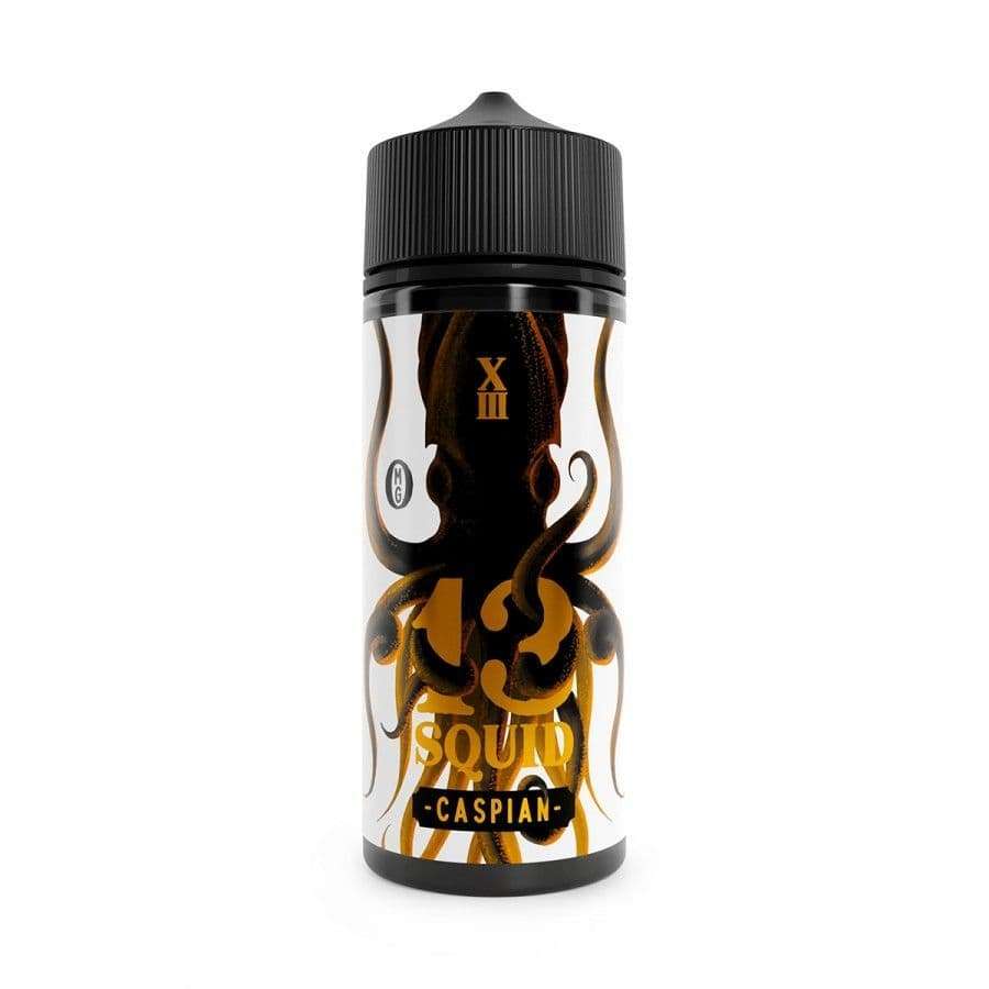 13 Squid E Liquid - Caspian - 100ml