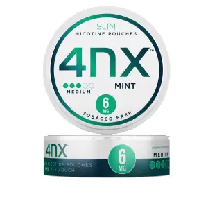 4NX Nicotine Pouch - Mint - 6mg