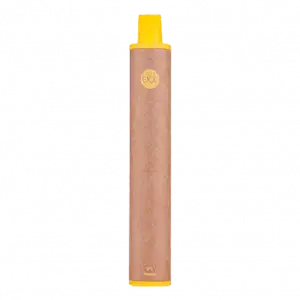 DotMod Dot E Disposable Pen - 20mg (600 Puffs) - Mango