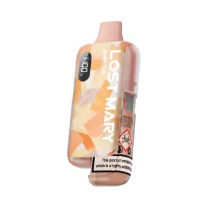 Lost Mary BM6000 Pod Kit - Snoow Tobacco | 20mg