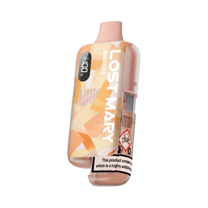 Lost Mary BM6000 Pod Kit - Snoow Tobacco | 20mg