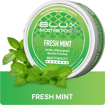  Fresh Mint Nicotine Pouches by Elux 